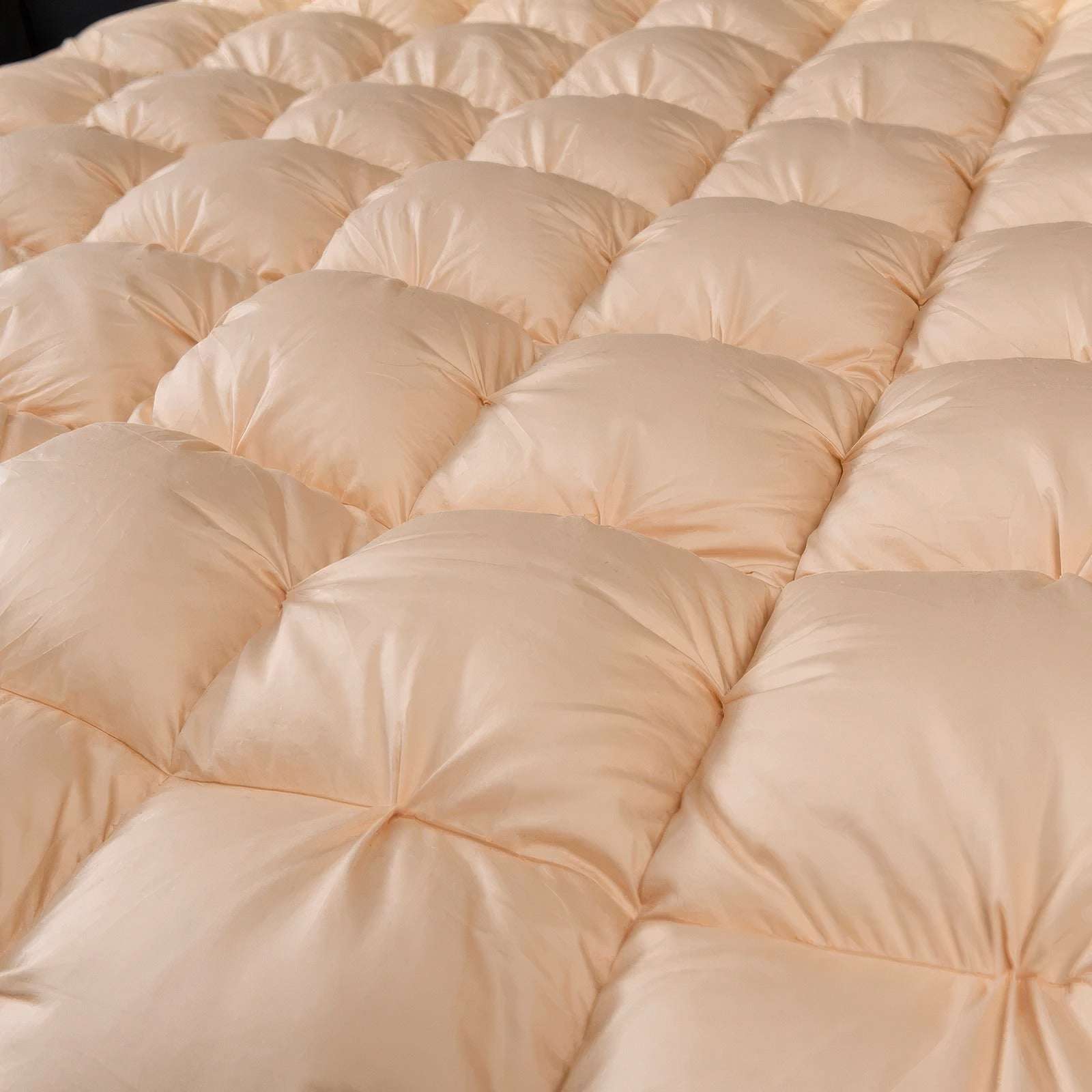 Beige Deluxe Cotton Goose Down Comforter